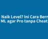 Mau Naik Level? Ini Cara Bermain ML agar Pro tanpa Cheat