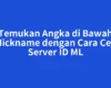 Temukan Angka di Bawah Nickname dengan Cara Cek Server ID ML