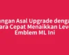 Jangan Asal Upgrade dengan Cara Cepat Menaikkan Level Emblem ML Ini